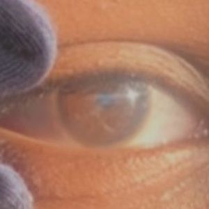 Meet your Posher, Amajae